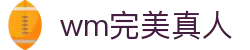 wm完美真人 - 线路检测中心
